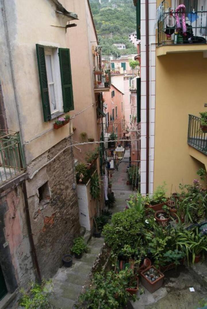 Pippo Cosy Studio Flat With Ac Monterosso al Mare Buitenkant foto
